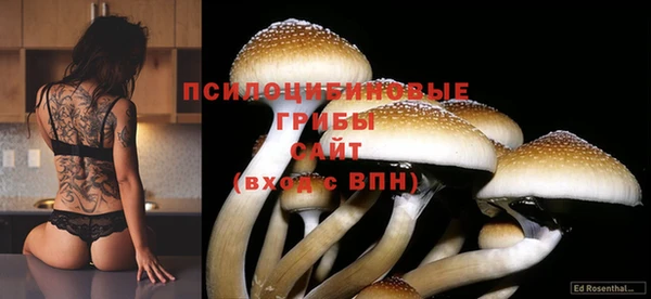 а пвп мука Арсеньев