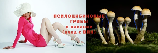 jwh Аркадак